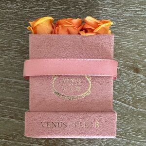 Mini Venus et Fleur Le mini square flowers